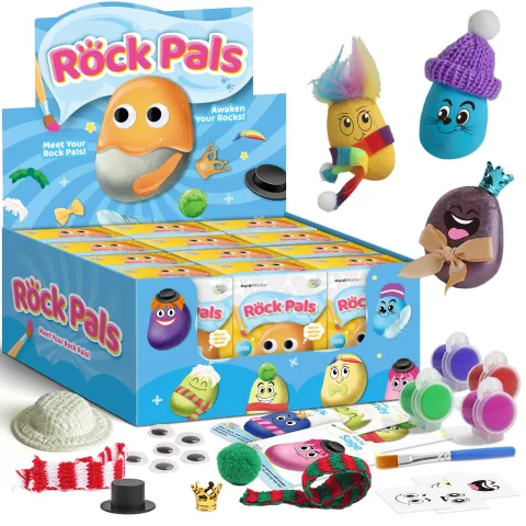 Rock painting craft kit